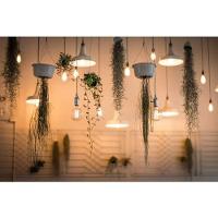 Lampada G95 Filamento 4w 2400k E27 Save Energy Branco - Bivolt - 2