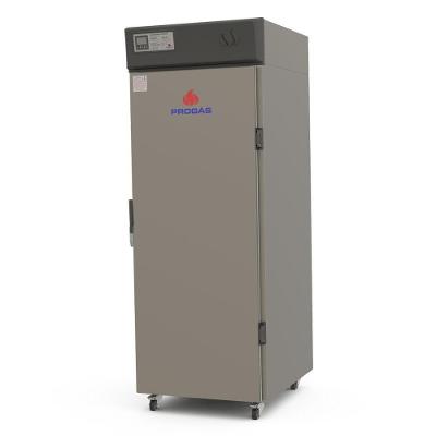 Câmara De Crescimento De Pães Com Capacidade De 20 Esteiras Prcl-200 220v - Progás 220v