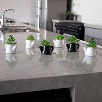 Kit 06 Suculentas Artificiais Com Vaso De Cerâmica 9,5x8x6 Cm - D'rossi - 3