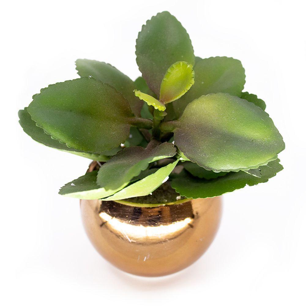 Vaso Decorativo Dourado Com Suculenta Artificial Folha Baixa 15x8 Cm F04 - D'rossi - 1