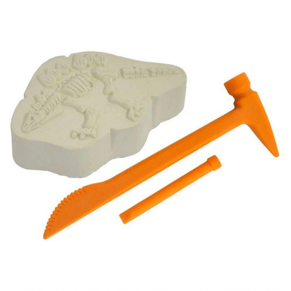 Dinossauro Surpresa - Dino Fóssil Escavação - Brilha No Escuro - Dm Toys - 4