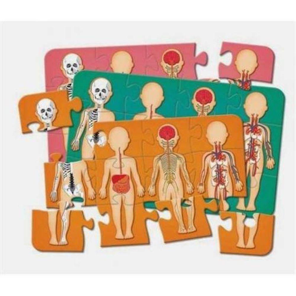 Jogo Corpo Humano - Pais E Filhos - 3