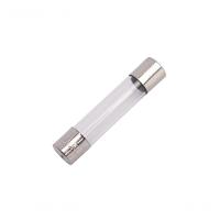 Fusivel Vidro Peq 5X20 10A 100Pcs - 1