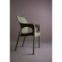 Cadeira Relic I'm In Verde Alecrim Grifit - 2