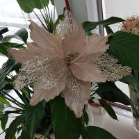 Flor Artificial Telada Veludo 50cm - 5