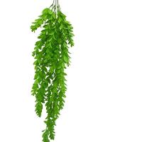 Buque De Complemento Verde Verde - 1