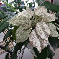 Flor Artificial Natal 25cm - 2