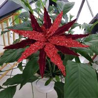 Flor Artificial Natal Vermelha 35cm - 2