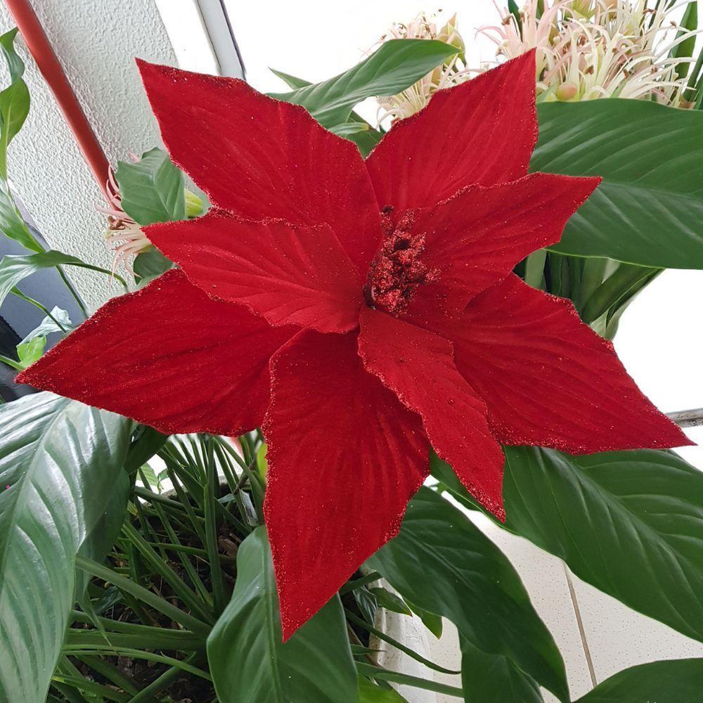 Flor Artificial Poinsétia Veludo 41cm - 2