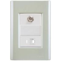 Cj Tomadas Rj45 Ethernet + Tv Coaxial Giz Verde Ardósia Tramontina Completo Pronto Tramontina - 1