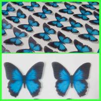 Borboleta Preta com Azul Mod 1 2,5cm - 1