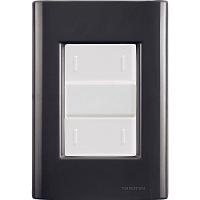 Cj Placa Dois Interruptor Duplo Giz Grafite Tramontina Completo Pronto Tramontina - 1