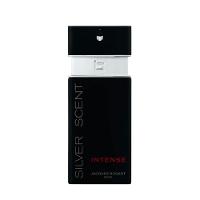 Perfume Silver Scent Intense Masculino Eau De Toilette 100ml Jacques - 1