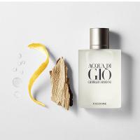Perfume Acqua Di Gio Pour Homme Eau De Toilette Giorgio Armani Masculino 100ml