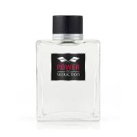 Perfume Antonio Banderas Power Of Seduction Eau De Toilette Masculino 200ml - 7