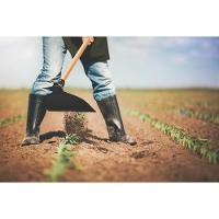 Enxada Larga 2.5 Tramontina em Aço sem Cabo - 1