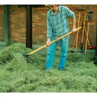 Forcado Reto de Arame com 4 Dentes em Aço Sem Cabo - 6