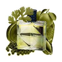 Real Time No Ordinary Eau De Toilette - Perfume Masculino 100ml - 2