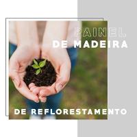 Mesa De Jantar 6 Lug Retangular 1,6m Stellar Carraro Pet Ros - 2