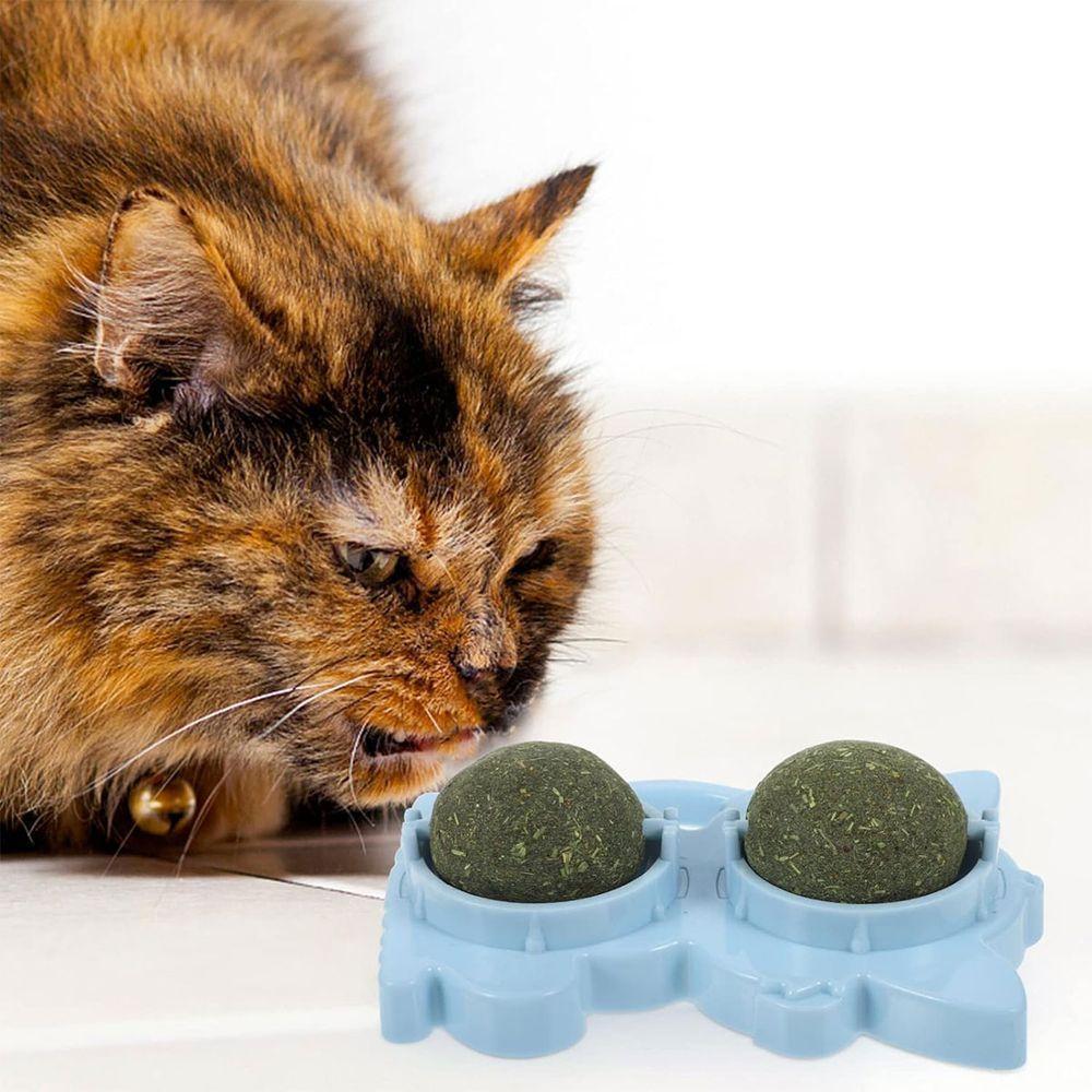 Brinquedo Erva De Gato Pet Natural Interativo Menta Bola Bolinha Catnip Animal De Estimaçao - 4