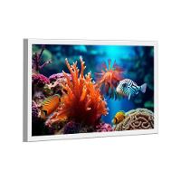 Quadro Peixes -- Br Artes