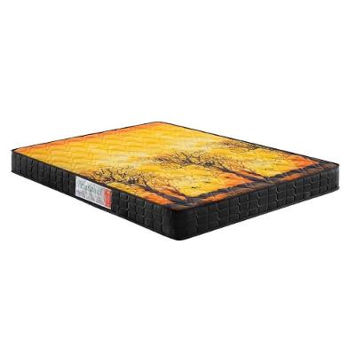 Colchão Casal Espuma Ortopédico Pantanal Black AG 65 D28 138x188x17cm Anjos