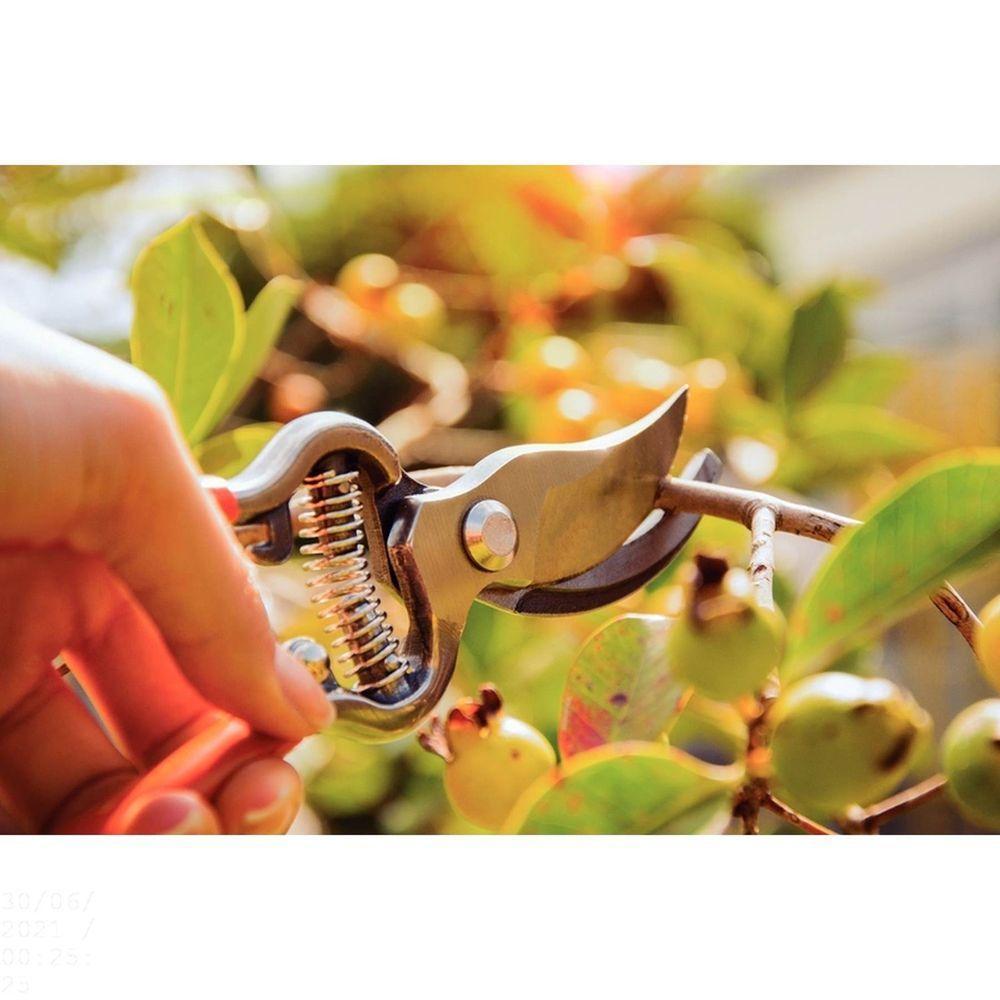 Tesoura De Poda Forjada Tramontina Em Aço Com Cabo Emborrachado Tramontina - 2