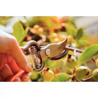 Tesoura De Poda Forjada Tramontina Em Aço Com Cabo Emborrachado Tramontina - 2