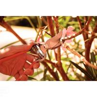 Tesoura De Poda Forjada Tramontina Em Aço Com Cabo Emborrachado Tramontina