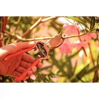 Tesoura De Poda Forjada Tramontina Em Aço Com Cabo Emborrachado Tramontina - 5