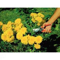 Tesoura De Poda Profissional Tramontina Com Lâmina Metálica E Cabo Revestido Em Plástico Tramontina - 4