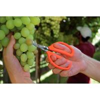 Tesoura Para Frutas Tramontina Com Lâminas Em Aço Inox Tramontina