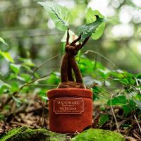 Almofada Com Som Mandragora Hp - 3