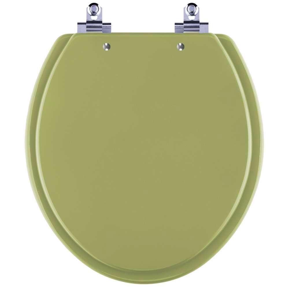 Assento Sanitário Laqueado Soft Close Azalea Verde Itapua Para Vaso Celite - 1