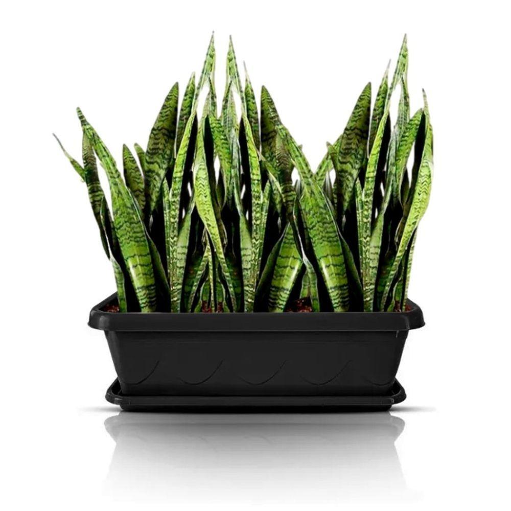 Vaso Floreira Plástico Com Prato 60cm (3un) Preto - 2