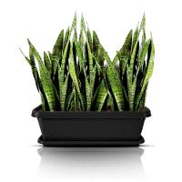 Vaso Floreira Plástico Com Prato 60cm (3un) Preto - 2