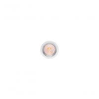 Lâmpada Led Dicroica 4w Bivolt Gu10 Stella 3000k - 2