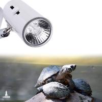 Mini Lâmpada Uva + Uvb Lorben Aquecimento Para Terrários Répteis Tartarugas - 7