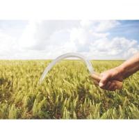 Foicinha com Dentes Tramontina em Aço com Cabo de Madeira - 2