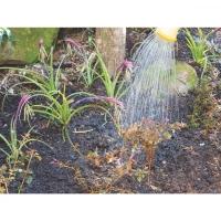 Pá De Bico 460/20 Em Aço Com Cabo De Madeira 120 Cm - 5