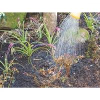 Pá De Bico 460/20 Em Aço Com Cabo De Madeira 120 Cm - 8