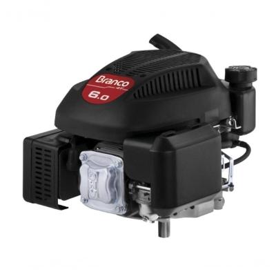 Motor Gasolina 4T 6,0Cv Vertical Eixo Longo B4T-6.0 Vg3 Bran