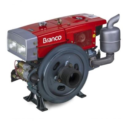 Motor Diesel 22Cv 1195Cc Partida Elétrica Radiador Bda-22.0R