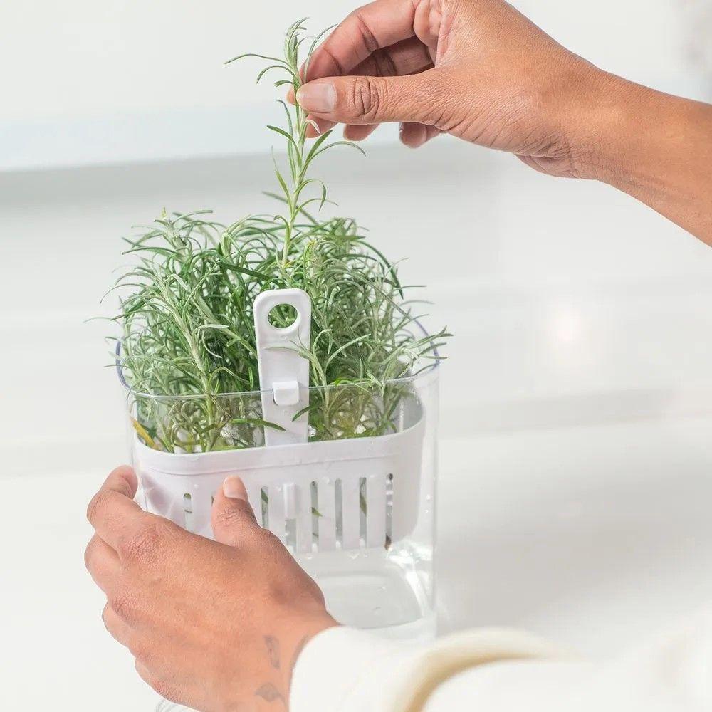 Organizador De Temperos Clear Fresh 1,5 L Ou - 3