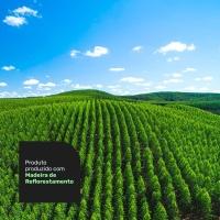 Cabeceira Cama Box Casal Kharla 140cm Veludo Cinza - Desk Design - 2