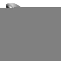 Kit 02 Poltronas Giratória Giovana Corano Preto Base Madeira - 6