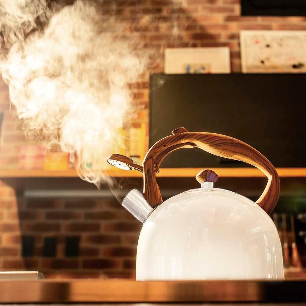 Chaleira Wood Em Inox 2,5 Litros Com Apito Mor Cor:bege Bege - 3