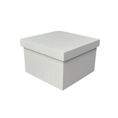 Caixa Tampa De Sapato P/1 Caneca Deitada (12x12x09) Branco