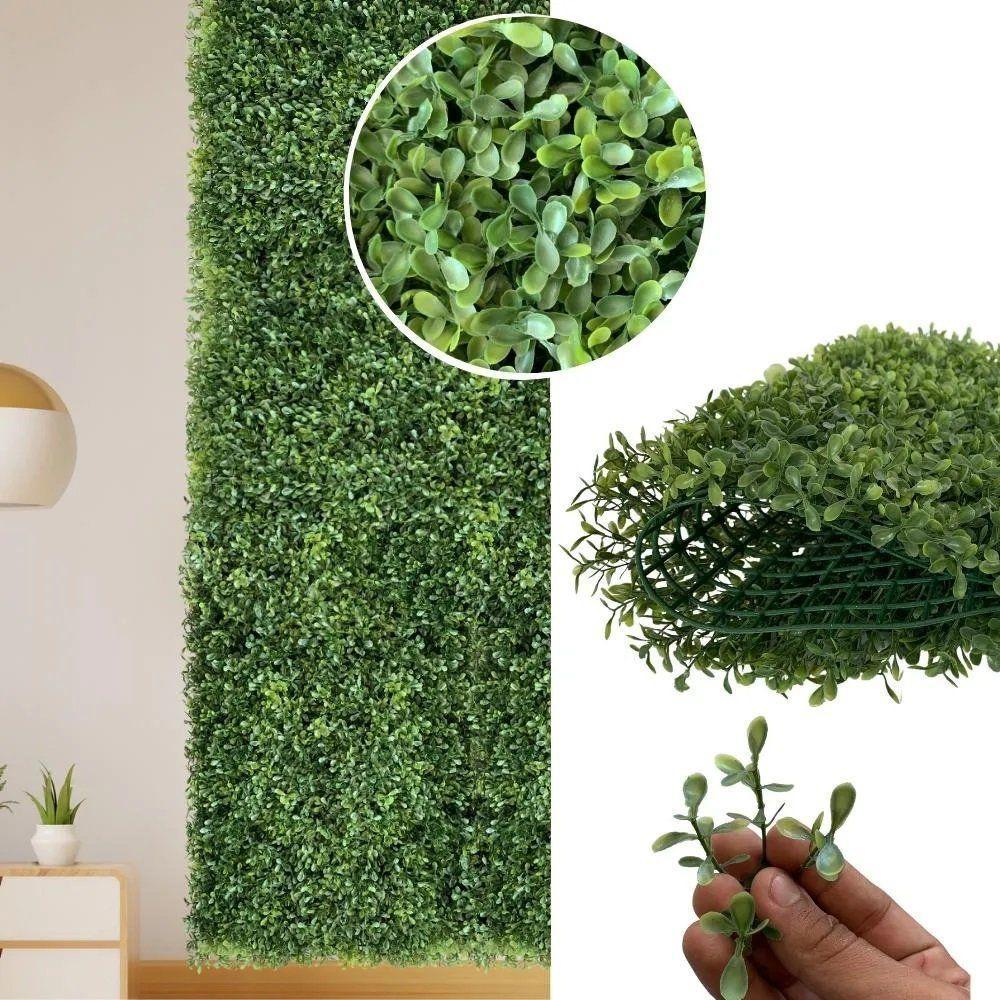 Placa Grama Amendoim Rasteira 40x3x60cm - 1