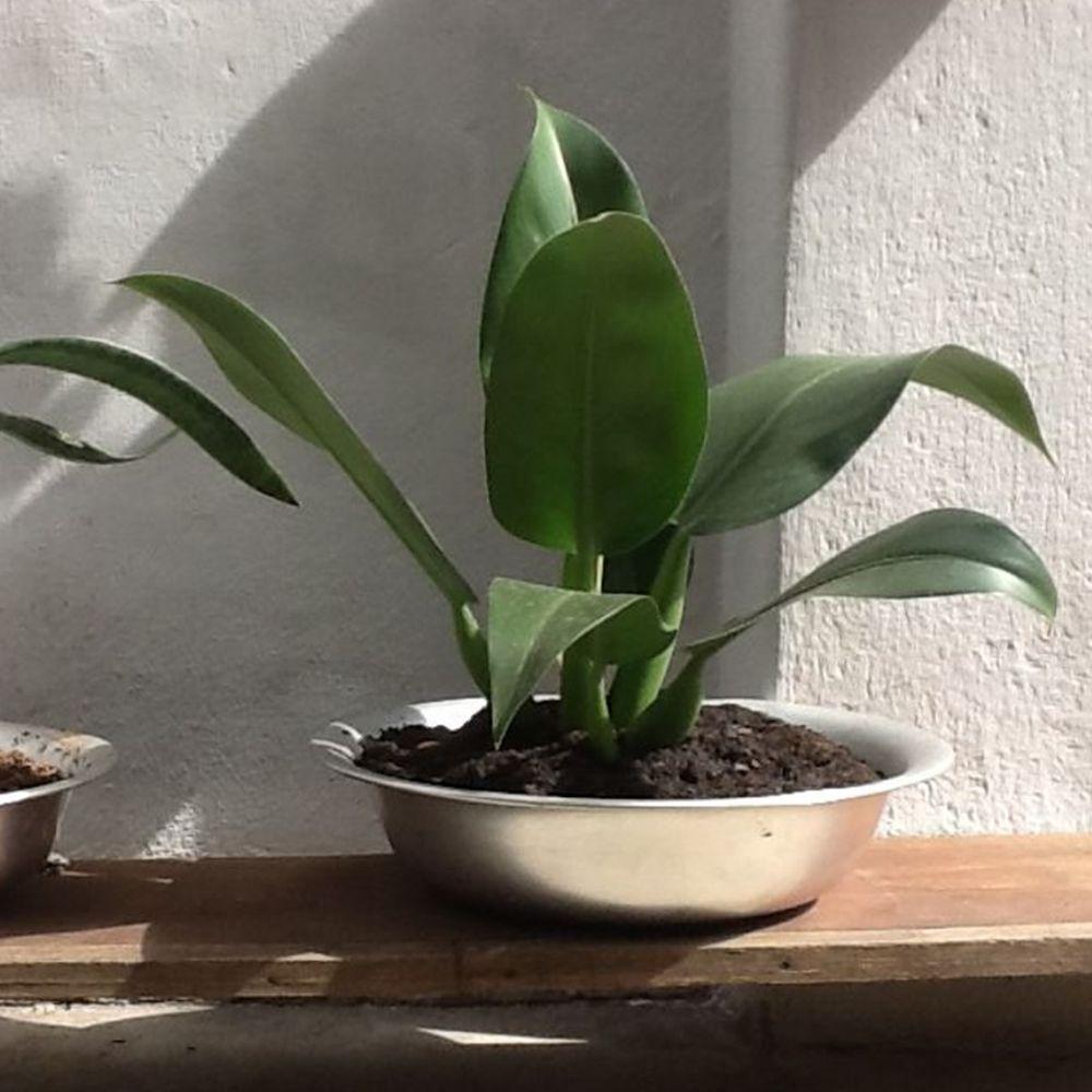 Bacia De Alumínio Redonda Para Banho Assento E Cozinha 55cm. - 2